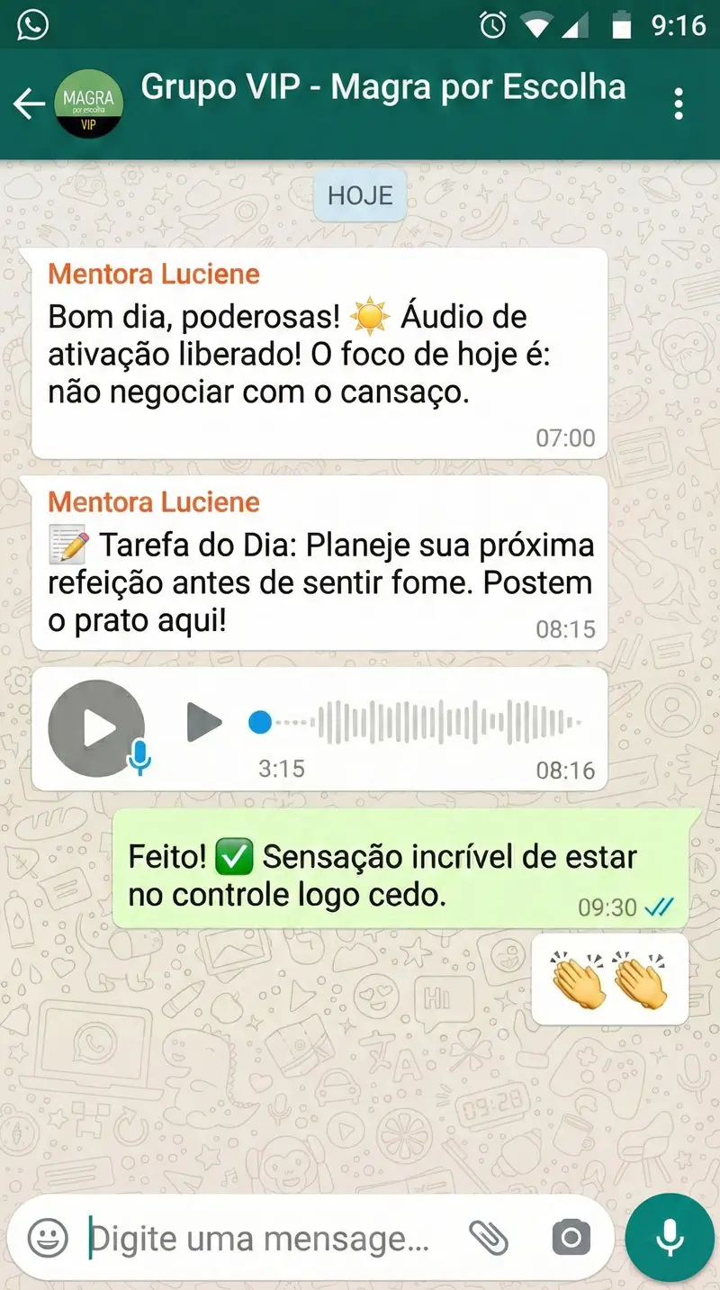 Grupo VIP de Responsabilização